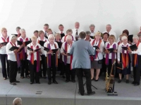 Segeberg singt -- Rathaus 8.6.2013